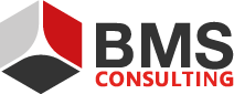 BMS Consulting